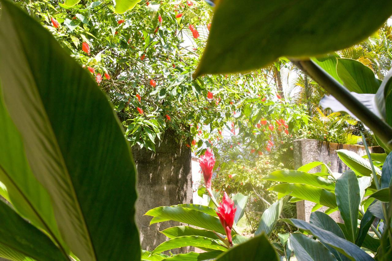 Lodge Mariah Ubatuba